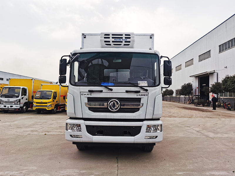 東風(fēng)多利卡D9醫(yī)療廢物轉(zhuǎn)運(yùn)車